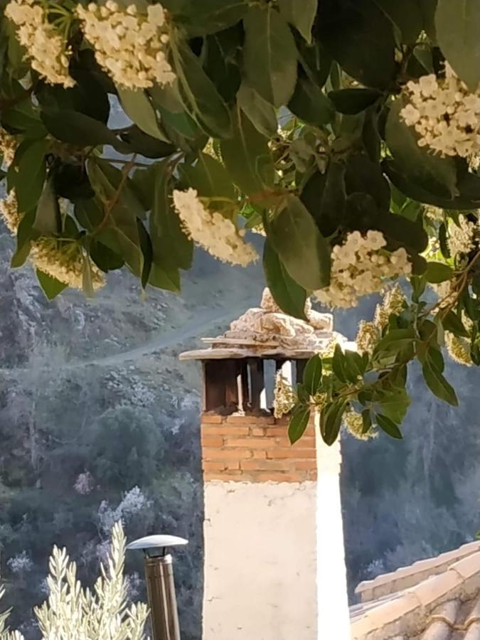 Cortijo La Solana Pension Guejar Sierra Buitenkant foto
