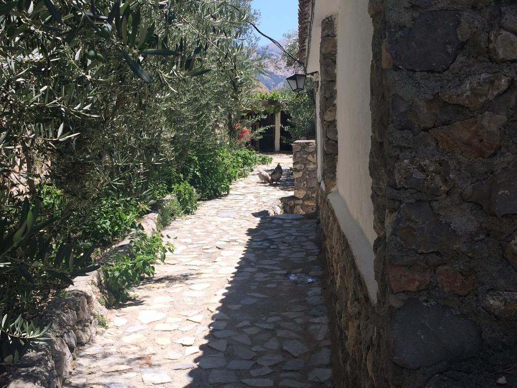 Cortijo La Solana Pension Guejar Sierra Buitenkant foto
